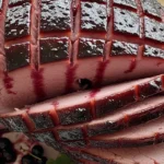 Black Currant Glazed Ham